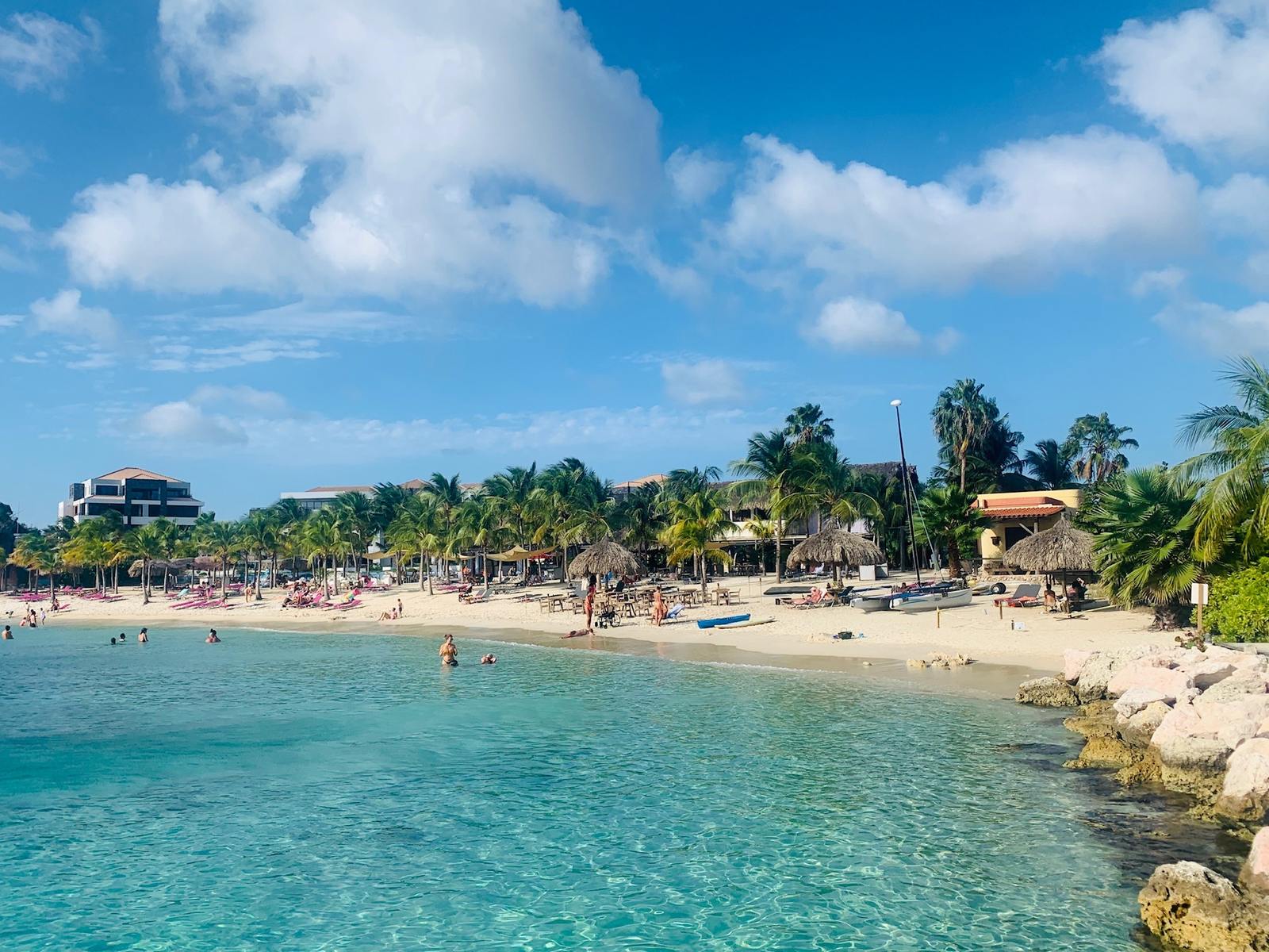 Palmen op het strand van Blue Bay